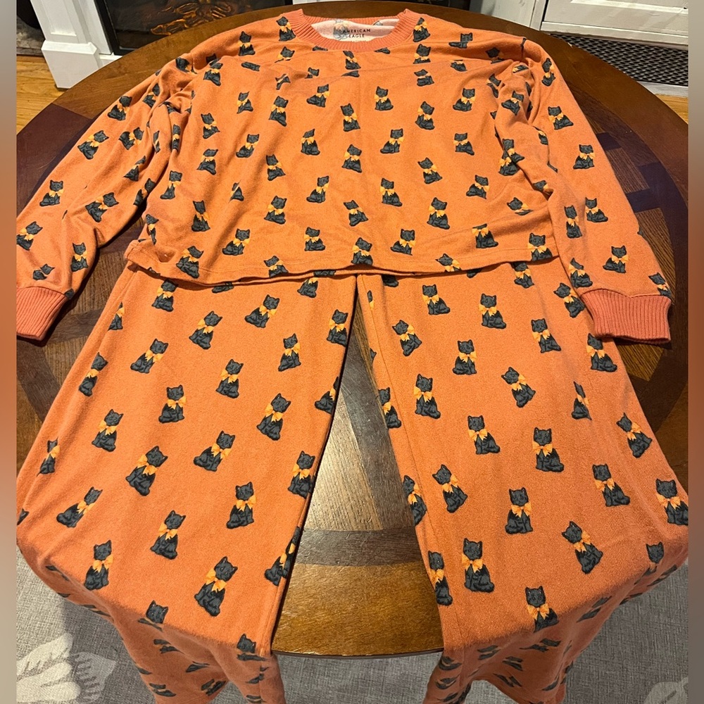 American Eagle Cat Pajama Set
